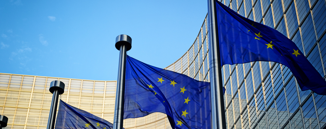 Raiffeisen Bank şi CRPE promovează adoptarea unei directive UE